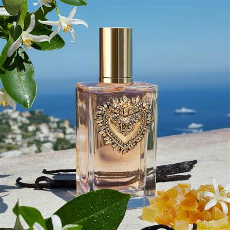 parfum devotion dolce gabbana avis